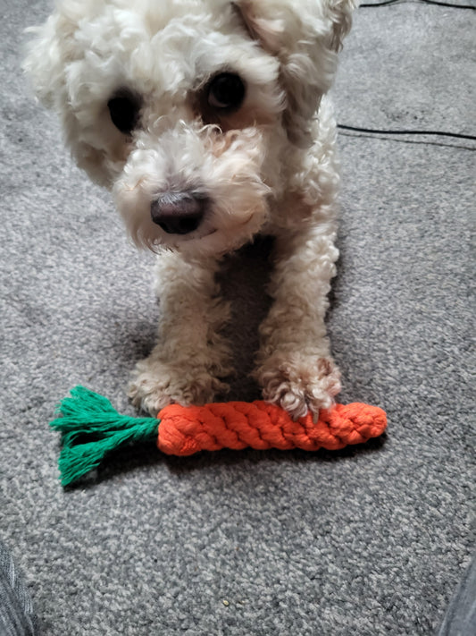 Carrot shaped chew toy